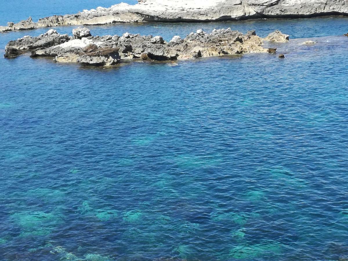 Case Vacanze Terra Sinus Terrasini Luaran gambar